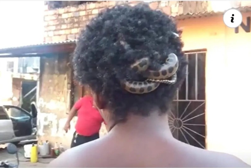 What can we call this, A woman’s hairstyle plait with a snake to protect herself Video